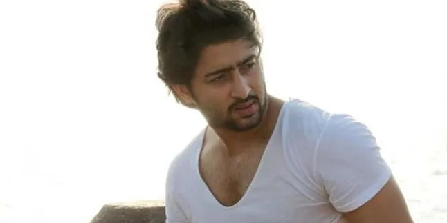 Pasca 'Mahabharata', Shaheer Sheikh Jadi Raja di Serial 'Ashoka'? Pasca 'Mahabharata', Shaheer Sheikh Jadi Raja di Serial 'Ashoka'?