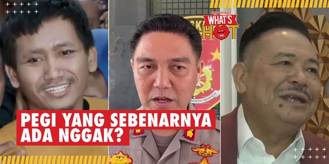 Pegi Setiawan Not Guilty, Otto Hasibuan Questions the Truth of the Third Name of the Vina Case DPO