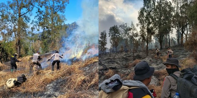 Pemadaman Karhutla Gunung Arjuno Hadapi Medan Terjal, Upaya Terus Dikerahkan dengan Maksimal