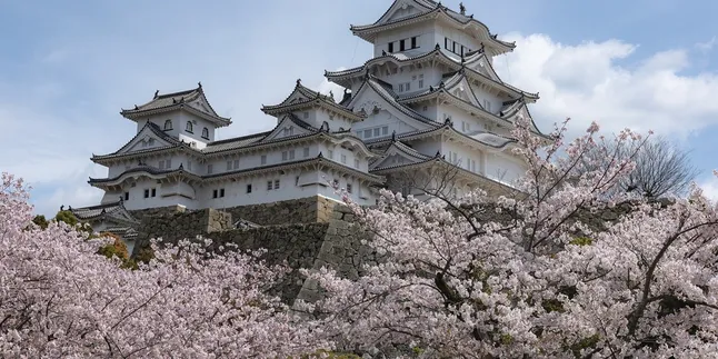 Penjelasan Musim dalam Bahasa Jepang, dari Pengertian Lengkap - Jenisnya