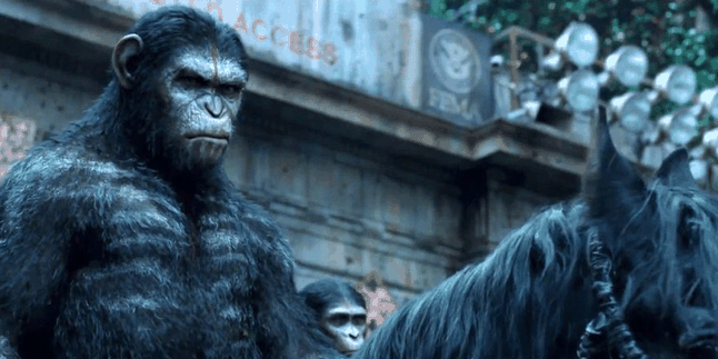 Perang Kembali Pecah Dalam 'DAWN OF THE PLANET OF THE APES'