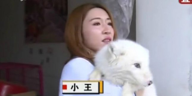 Perempuan Ini Percaya Kalau Anjing Putihnya Adalah Seekor Rubah