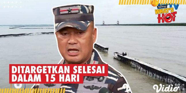 Direct Order From President Prabowo, The Sea Fence in Tangerang Waters is Being Dismantled Again