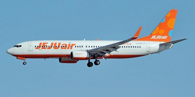 The Jeju Air Plane Involved in the Accident at Muan Airport, Turns Out to Be Frequently Used by Several Airlines