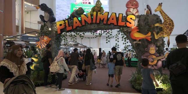 Planimals Exhibition & Zoonimals: When Mall Transformed into a Mini Zoo
