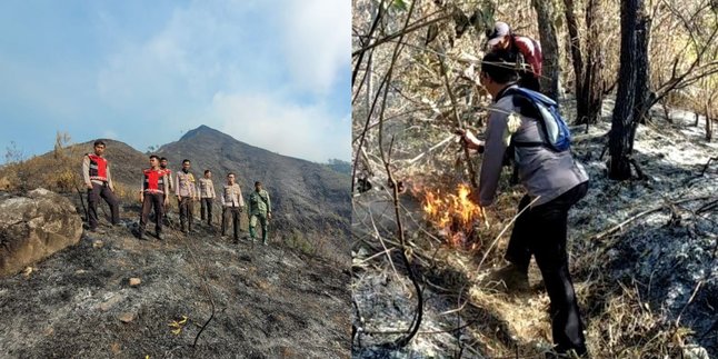 Polisi Selidiki Soal Pemicu Kebakaran Hutan di Gunung Arjuno, Diduga karena Aktivitas Perburuan Liar