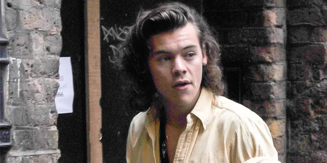 Pose Harry Styles Ini Bakal Bikin Fans One Direction Menjerit!
