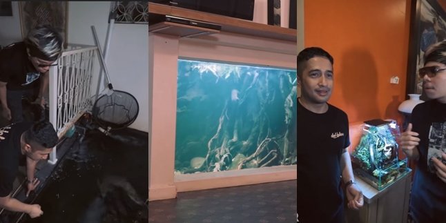 Inside Look at Irfan Hakim's House, Filled with Billion Rupiah Worth of Aquariums