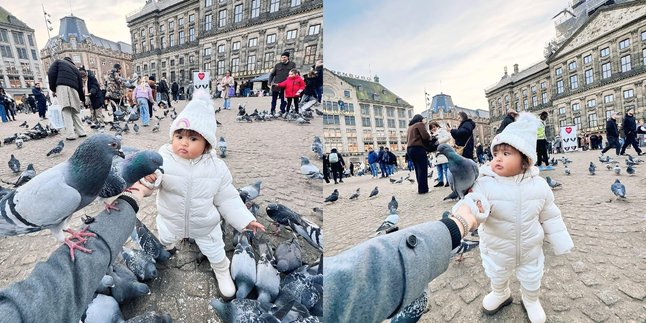 Portrait of Dek Cunda's Vacation with Denny Caknan and Bella Bonita, Enjoying Playing with Dozens of Pigeons