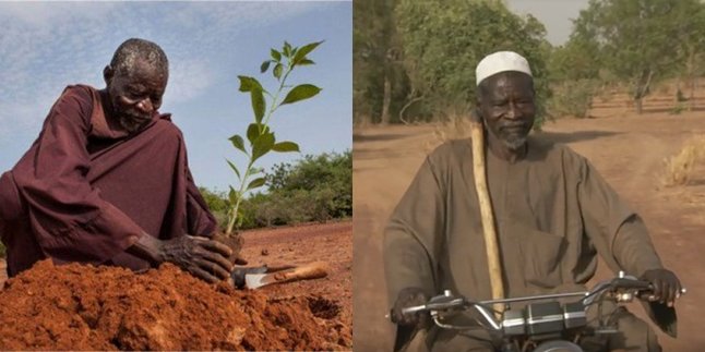 Pria Ini Berjuang Selama 30 Tahun Hijaukan Afrika Barat Seorang Diri