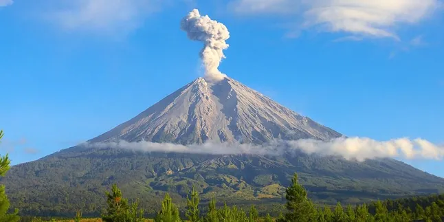 Pria Warga AS Meninggal Dunia dalam Pendakian ke Semeru