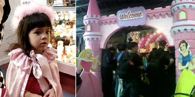 Princess Jadi Tema Ulang Tahun Safeea