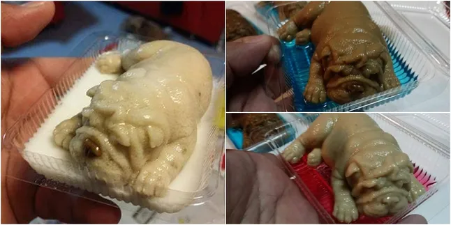 Pudding Ini Punya Bentuk Seperti Anak Anjing, Yakin Tega Makan?