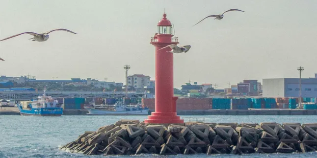 Jeju Island Goes Viral, Allegations of Human Trafficking Report by Indonesian Citizen Highlighted