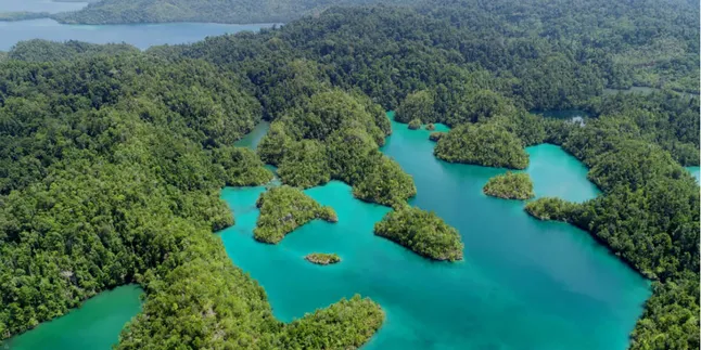 Pulau Tawale, Hidden Gem yang Seru Jadi Destinasi Liburan di Halmahera Selatan