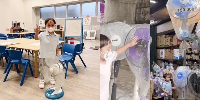 Punya Koleksi yang Nggak Biasa, Ini Potret Arrasya Anak Tasya Kamila Pilih Kipas Angin di Toko Langganan - Hafal Semua Merek