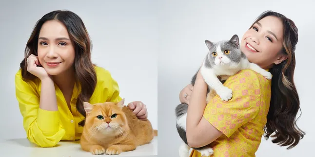 Punya Sejumlah Kucing, Nagita Slavina Punya Cara Tersendiri untuk Memanjakan Mereka