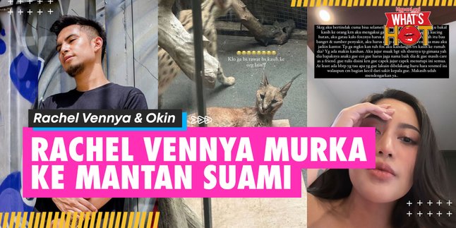 Rachel Vennya Fed Up with Okin Because of Sick Cat: But What Can I Do, He's the Father of My Children