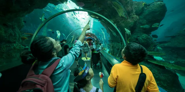 Ragam Akuarium Keren yang Bisa Kamu Kunjungi di Asia Tenggara