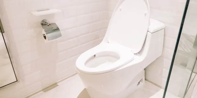 Rahasia Cerdas, Bagaimana Buang Air Besar Dapat Tingkatkan Kecerdasan Anda!