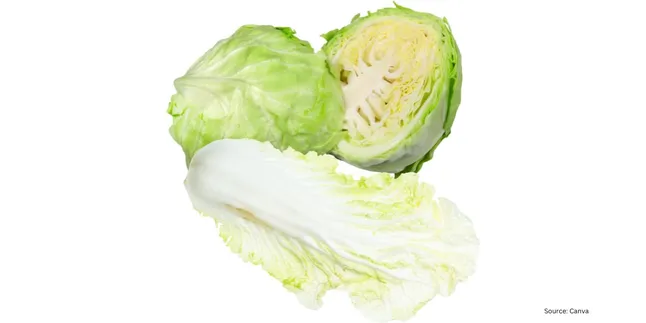 Rahasia Kubis dan Sawi Putih Tetap Segar Tanpa Pendingin