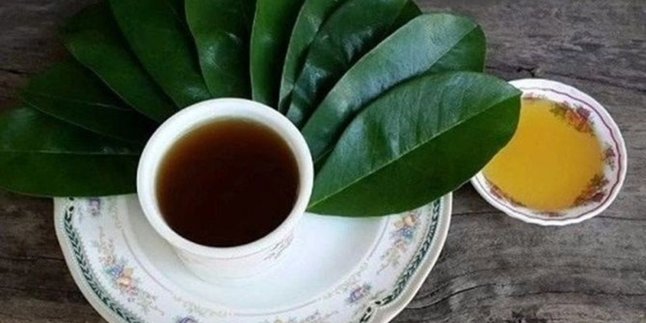 The Secret Brew of Leaves to Lower Cholesterol and Hypertension, Here’s How to Make It