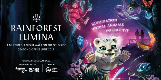 Rainforest Lumina, Sensasi Magis Jelajahi Misteri Hutan Ajaib di Singapore Zoo
