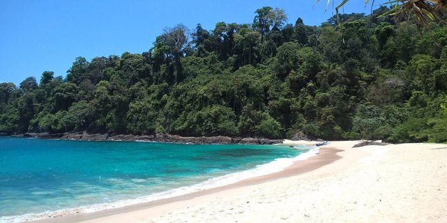 Rekomendasi Tempat Wisata untuk Rayakan Tahun Baru 2025 di Banyuwangi