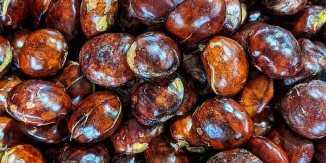 Resep Rebus Jengkol Tanpa Bau Menyengat, Gunakan Tiga Bahan Ini