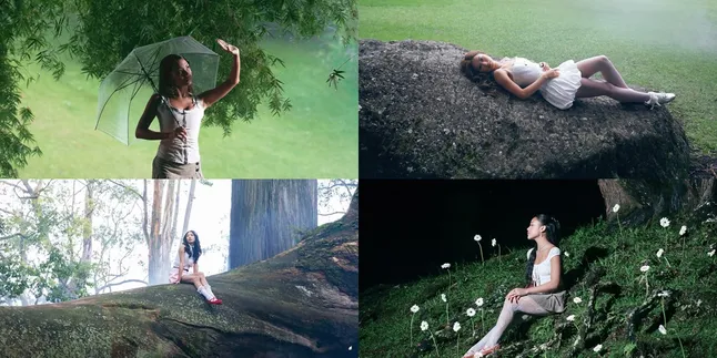 Review of 'lullabies (orchids), Feeling Like in a Fairy Tale While Listening