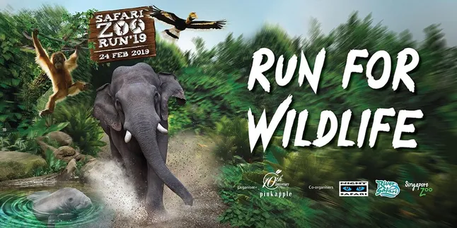 Safari Zoo Run 2019, Serunya Lari Sambil Menyapa Kehidupan Alam Bebas di Singapura