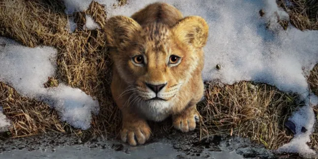 Sajikan Visual Khas dan Isu Terkini! Intip Film dan Serial Karya Jenkins Sebelum 'MUFASA: THE LION KING'