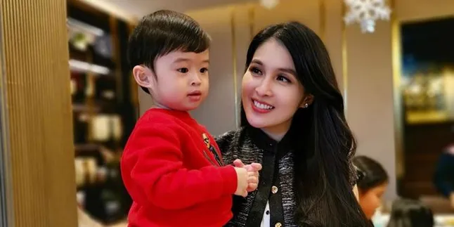 Sandra Dewi Posting Menu Raphael Moeis Sehari-Hari, Ada 6 Mangkok Tiap Kali Makan