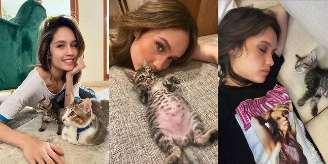 A Series of Photos of Cinta Laura with Her Beloved Cat, One Found Accidentally on the Shooting Location