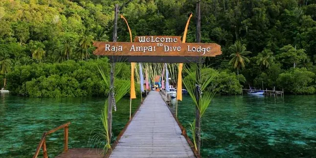 Selamat! Indonesia Dinobatkan Jadi Destinasi Diving Terbaik Dunia