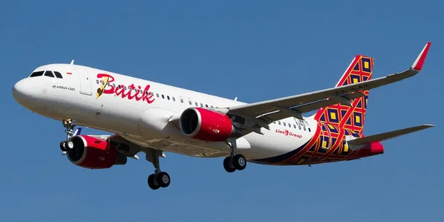 Selamat! Seorang Ibu Melahirkan Normal di Atas Pesawat Batik Air