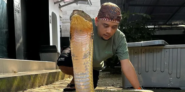 Sempat Alami Kecelakaan Fatal, Panji Petualang Rupanya Hidup dengan Liver Setengah