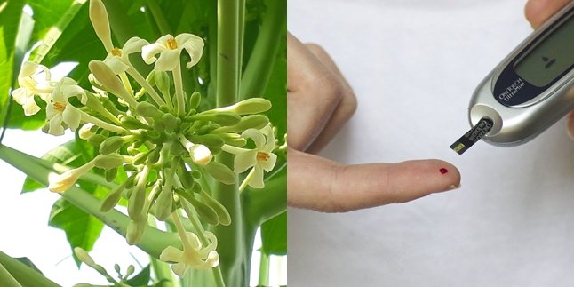 Often Used as a Sauteed Vegetable, Here are 7 Benefits of Papaya Flowers for Health