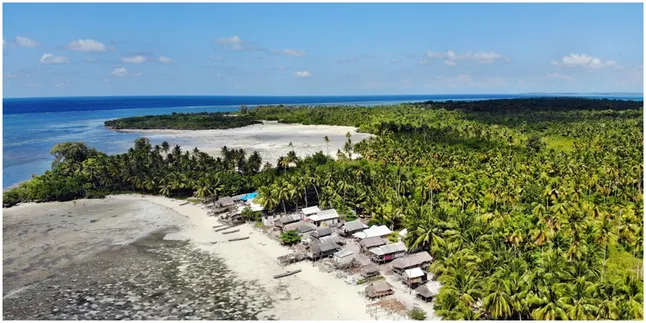 Serunya Berwisata Sekaligus Mencintai Indahnya Alam Wakatobi, Intip Referensinya Yuk!