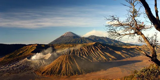 Serunya Famtrip ke Taman Nasional Bromo Tengger Semeru, Mau Coba? Serunya Famtrip ke Taman Nasional Bromo Tengger Semeru, Mau Coba?