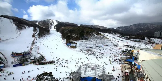 Serunya Liburan Musim Dingin di Korea Selatan