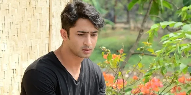 Shaheer Sheikh Rayakan Tahun Baru Dalam Gelap dan Kesendirian