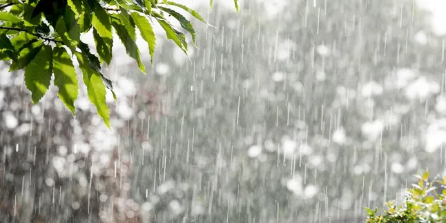 Siaga Banjir di Musim Hujan, Temukan Tips Ampuh untuk Menghadapi!