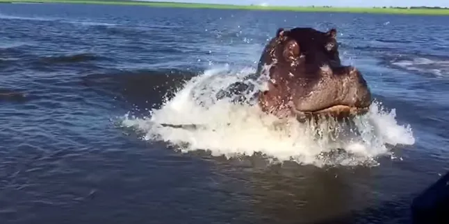 Siapkan Nyalimu Sebelum Lihat Video Ini!