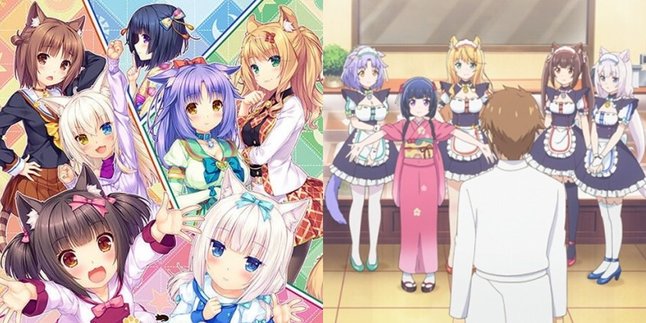 Synopsis Anime NEKOPARA, The Story of Beautiful Cats Working at a Bakery