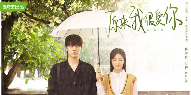Synopsis of CRUSH Chinese Romantic Drama Makes You Emotional, the Story of a Blind Songwriter and Radio Announcer