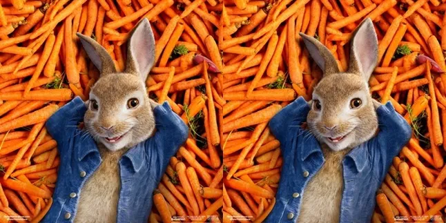 Sinopsis 'PETER RABBIT', Kisah Aksi Kabur Keluarga Kelinci Yang Suka Curi Wortel Sinopsis 'PETER RABBIT', Kisah Aksi Kabur Keluarga Kelinci Yang Suka Curi Wortel