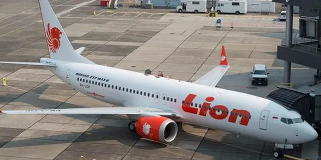 Sinyal Black Box Lion Air JT 610 Ditemukan, Ini 4 Faktanya