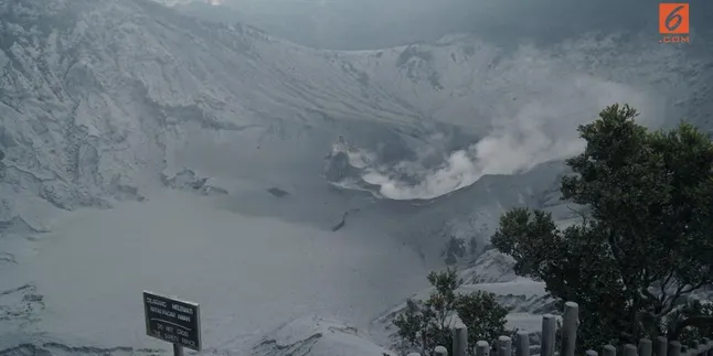 Status Gunung Tangkuban Parahu Naik ke Waspada, Warga Diimbau Segera Menjauh