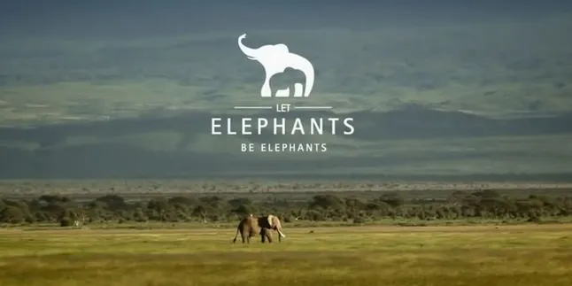 Sudah Lihat Video Nadya Hutagalung Kampanye Selamatkan Gajah?